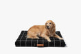 Load image into Gallery viewer, Black Grid | Fancy Dog Bed or Bed Cover LAY LO Pets