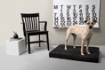 Load image into Gallery viewer, Black Dog Bed | Modern Dog Bed or Bed Cover