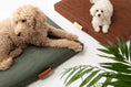 Load image into Gallery viewer, Terra | Modern Dog Bed or Bed Cover