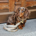 Load image into Gallery viewer, Leash 4ft - Vegan Leather