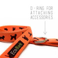 Load image into Gallery viewer, EcoBark Safety Orange Dog Leash- Padded Comfort Grip Leash with Dog Pattern - 4ft, 5ft, and 6ft Leash for Small and Medium Dogs