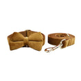 Load image into Gallery viewer, Light Coffee Velvet Set