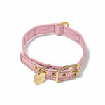 Light Pink Canvas Cat & Dog Collar