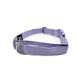Load image into Gallery viewer, Martingale Dog Collar - Southlake Paws