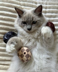 Load image into Gallery viewer, KV Balls (Checker) Catnip Toys