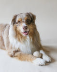 Load image into Gallery viewer, Lilco Tennis Ball | Moonbeam