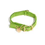 Lime Washable Velvet Cat & Dog Collar