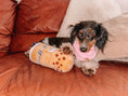 Load image into Gallery viewer, PAWTY BOBA PLUSH DOG TOY - Southlake Paws