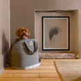 Load image into Gallery viewer, Nooee Pet Car Seat Lola