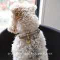 Load image into Gallery viewer, Collar - Vegan Leather