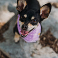 Load image into Gallery viewer, Lovely Lavender Sparks Dog Bandana