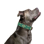 Lucky Sambboho dog collar