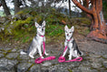 Load image into Gallery viewer, Pink Dog Leash by EcoBark - Padded Comfort Grip Leash - 4ft, 5ft, and 6ft Leash for Teacup, Small, and Medium Dogs