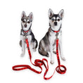 Load image into Gallery viewer, EcoBark Cherry Red Dog Leash- Padded Comfort Grip Leash with Dog Pattern - 4 ft, 5 ft, and 6 ft Leash for Small and Medium Dogs