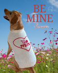Load image into Gallery viewer, Be Mine Dog Sweater
