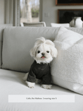 Load image into Gallery viewer, Marlowe Pet