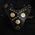 Load image into Gallery viewer, The "Maximus" harness black & gold