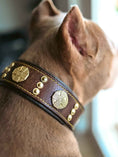 Load image into Gallery viewer, The "Maximus" collar 2.5 inch wide brown & gold