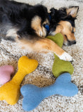 Load image into Gallery viewer, MB WOOLBONE - Southlake Paws
