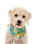 Load image into Gallery viewer, FLORAL BANDANA - Southlake Paws
