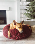 Load image into Gallery viewer, POD DOG BED - Southlake Paws