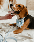 Load image into Gallery viewer, Wander! Waterproof Collar - Sky