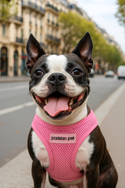 Parisian Pet 'Freedom Harness' for Dogs & Cats – Soft, Lightweight Adjustable Dog Harness in Pink