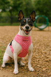 Parisian Pet 'Pink Dot Harness' for Dogs & Cats – Adjustable, Comfortable Pink Polka Dot Dog Harness, Stylish Fit for Small Pets