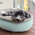 Load image into Gallery viewer, Microfiber Comfy Cup - Pet Bed