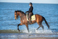 Load image into Gallery viewer, Mimosa Saddle Pad
