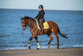 Load image into Gallery viewer, A rider in black attire on a brown horse, featuring a yellow Southlake Paws Mimosa Saddle Pad, trotting by the beach.