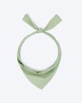 Load image into Gallery viewer, PARTY BANDANA