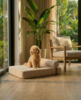 Load image into Gallery viewer, The Modern Day Bed — Boucle Lounge Dog Bed | High-Density Foam, Waterproof Lined, Washable