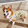 Load image into Gallery viewer, Mondrian Broadway Boogie Woogie Pet Vest
