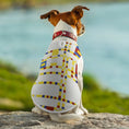 Load image into Gallery viewer, Mondrian Broadway Boogie Woogie Pet Vest