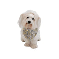 Load image into Gallery viewer, Mondrian Tableau No. 2, Composition No. VII Double-Sided Pet Bandana
