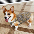 Load image into Gallery viewer, Mondrian Tableau No. 2, Composition No. VII Pet Vest