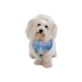 Load image into Gallery viewer, Monet Impression, Sunrise Double-Sided Pet Bandana