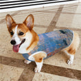 Load image into Gallery viewer, Monet Impression, Sunrise Pet Vest