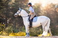 Load image into Gallery viewer, Moonstone Blue Saddle Pad Set