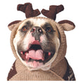 Load image into Gallery viewer, Moosey Hoodie Dog Sweater