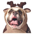 Load image into Gallery viewer, Moosey Hoodie Dog Sweater