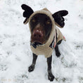Load image into Gallery viewer, Moosey Hoodie Dog Sweater