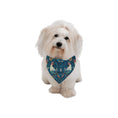 Load image into Gallery viewer, Morris Bird Double-SIded Pet Bandana