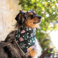 Load image into Gallery viewer, Crazy Plant Lady Dog Bandana