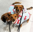 Load image into Gallery viewer, Mushroom Dog Sweater