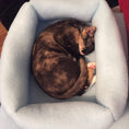 Load image into Gallery viewer, Mysterious Kitty Kuddler Nesting Cat Bed