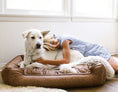 Load image into Gallery viewer, Natural Vintage Lounge Bed