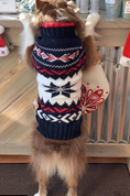 Load image into Gallery viewer, Navy Vail Dog Sweater