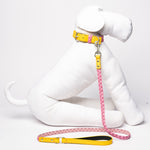 Personalized Braided Dog Leash Pink/Yellow